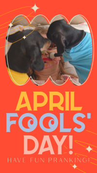 Quirky April Fools' Day Facebook Story Design