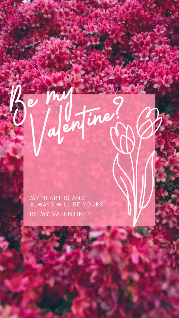 Sweet Pink Valentine  Instagram Story Design Image Preview