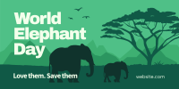 Safari Elephant Twitter Post Design