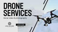 Professional Drone Service Video Image Preview