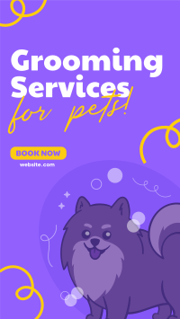 Premium Grooming Services TikTok Video Design