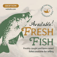 Fresh Fishes Available Instagram Post Design