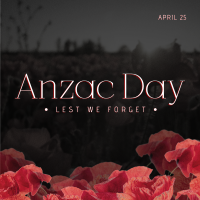 Anzac Poppies Linkedin Post Image Preview