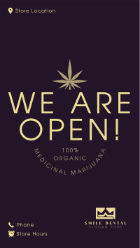 Cannabis Shop Facebook story Image Preview