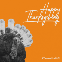 Orange Thanksgiving Turkey Instagram Post Design