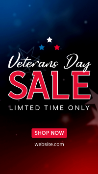 Veterans Medallion Sale TikTok Video Image Preview