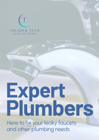 Expert Plumbers Poster Image Preview