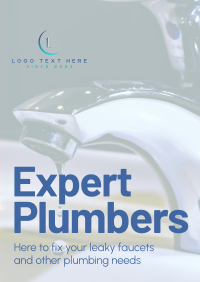 Expert Plumbers Poster Image Preview