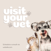 Visit Your Vet Instagram post Image Preview