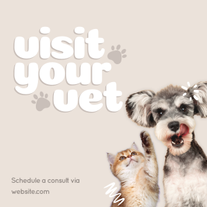 Visit Your Vet Instagram post Image Preview