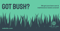 Bush Lawn Care Facebook Ad Design