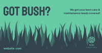 Bush Lawn Care Facebook ad Image Preview