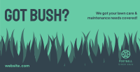 Bush Lawn Care Facebook ad Image Preview