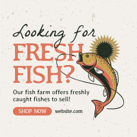 Fresh Fish Farm Instagram post Image Preview