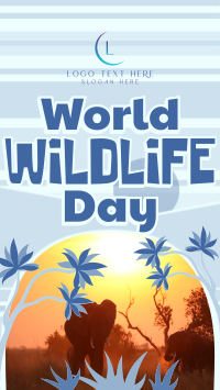 Modern World Wildlife Day TikTok Video Design