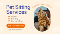 Pet Sitting Services Minimalist Animation Preview