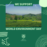 We Support World Environment Day Instagram Post Image Preview