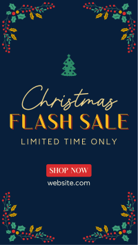 Christmas Flash Sale TikTok Video Image Preview