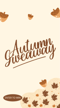 Autumn Season Giveaway Instagram Reel Preview