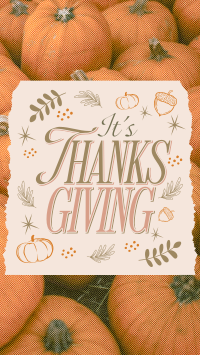 Elegant Thanksgiving Day TikTok Video Design