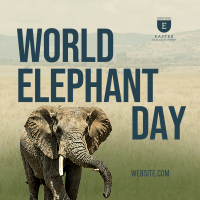 World Elephant Day Instagram Post Image Preview