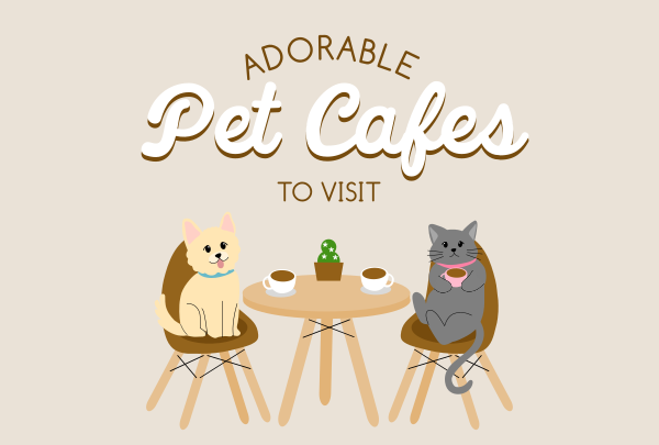 Pet Cafe Opening Pinterest Cover Design Image Preview