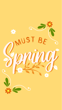 Must be Spring Video Image Preview