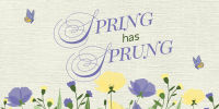 Spring Has Sprung Twitter post Image Preview