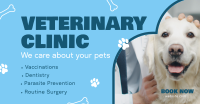 Professional Veterinarian Clinic Facebook ad Image Preview