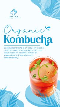 Probiotic Kombucha Facebook story Image Preview