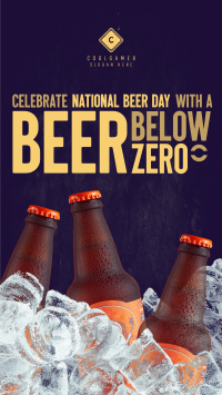 Below Zero Beer Facebook story Image Preview