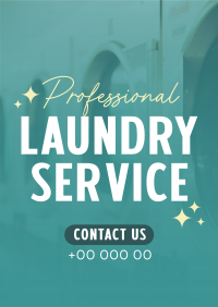 Professional Laundry Service Poster Image Preview