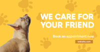 We Care Veterinary Facebook Ad Design