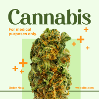 Medicinal Cannabis Linkedin Post Image Preview