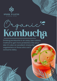 Probiotic Kombucha Flyer Image Preview