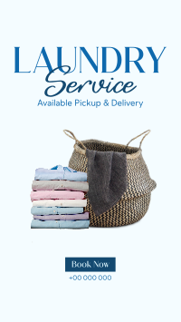 Laundry Delivery Services Instagram Reel Design