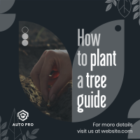 Plant Trees Guide Instagram post Image Preview