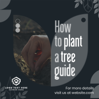 Plant Trees Guide Instagram Post Preview