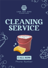 Professional Cleaning Poster Image Preview
