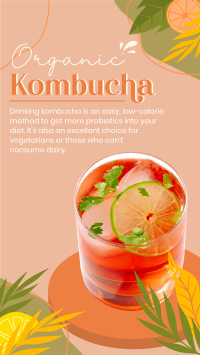 Probiotic Kombucha Instagram story Image Preview