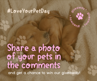 Love Your Pet Day Giveaway Facebook Post Design