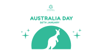 Native Kangaroo Facebook ad Image Preview