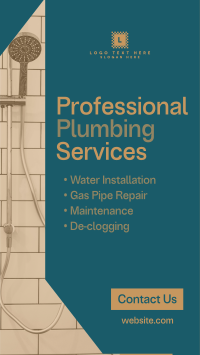 Professional Plumbing Service TikTok Video Preview