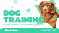 Quirky Dog Training Animation Preview