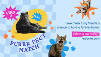 Adopt a Cat Facebook event cover Image Preview