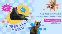 Adopt a Cat Facebook Event Cover Image Preview