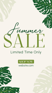 Summer Monstera Leaf Sale TikTok Video Image Preview