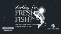Fresh Fish Farm Video Image Preview