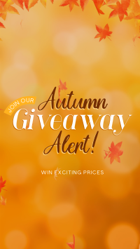 Autumn Giveaway Alert Instagram Story Design