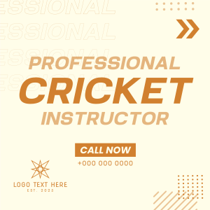 Let's Play Cricket Instagram post Image Preview